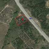  For Sale - (€ 0 / m2), Agricultural 2456 m2 Eleftheres 8099588 thumb0