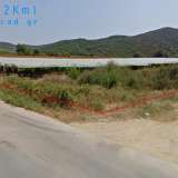  For Sale - (€ 0 / m2), Agricultural 10000 m2 Eleftheres 8099593 thumb3