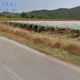  For Sale - (€ 0 / m2), Agricultural 10000 m2 Eleftheres 8099593 thumb0