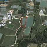  For Sale - (€ 0 / m2), Agricultural 10000 m2 Eleftheres 8099593 thumb5