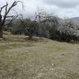  For Sale - (€ 0 / m2), Agricultural 8164 m2 Chrisoupoli 8099599 thumb0