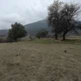  For Sale - (€ 0 / m2), Agricultural 8164 m2 Chrisoupoli 8099599 thumb4