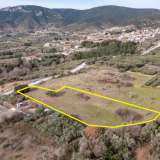  For Sale - (€ 0 / m2), Agricultural 3500 m2 Chrisoupoli 8099606 thumb8