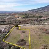  For Sale - (€ 0 / m2), Agricultural 3500 m2 Chrisoupoli 8099606 thumb7