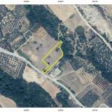  For Sale - (€ 0 / m2), Agricultural 3500 m2 Chrisoupoli 8099606 thumb2