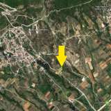  For Sale - (€ 0 / m2), Agricultural 3500 m2 Chrisoupoli 8099606 thumb1