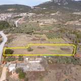 For Sale - (€ 0 / m2), Agricultural 3500 m2 Chrisoupoli 8099606 thumb9