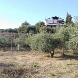  For Sale - (€ 0 / m2), Agricultural 890 m2 Eleftheres 8099608 thumb0
