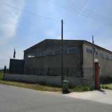  Miete , Industrial Site 700 m2 Eleitheres 8099613 thumb0