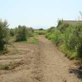  For Sale - (€ 0 / m2), Agricultural 4000 m2 Kavala 8099643 thumb8