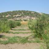  For Sale - (€ 0 / m2), Agricultural 4000 m2 Kavala 8099643 thumb2