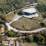  For Sale - (€ 0 / m2), Agricultural 3000 m2 Thessaloniki 8099666 thumb0