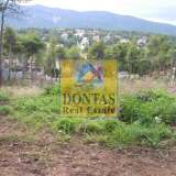  (For Sale) Land Plot || East Attica/Dionysos - 1.550 Sq.m, 500.000€ Dionysos 7099813 thumb6