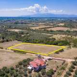  For Sale - (€ 0 / m2), Agricultural 5938 m2 Chrisoupoli 8099091 thumb5