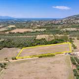  For Sale - (€ 0 / m2), Agricultural 5938 m2 Chrisoupoli 8099091 thumb6