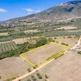  For Sale - (€ 0 / m2), Agricultural 5938 m2 Chrisoupoli 8099091 thumb7