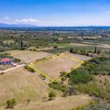  For Sale - (€ 0 / m2), Agricultural 5938 m2 Chrisoupoli 8099091 thumb4