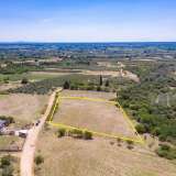  For Sale - (€ 0 / m2), Agricultural 5938 m2 Chrisoupoli 8099091 thumb0