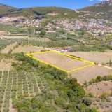  For Sale - (€ 0 / m2), Agricultural 5938 m2 Chrisoupoli 8099091 thumb9