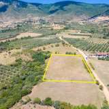  For Sale - (€ 0 / m2), Agricultural 5938 m2 Chrisoupoli 8099091 thumb8