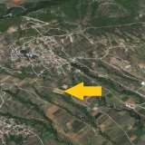  For Sale - (€ 0 / m2), Agricultural 5938 m2 Chrisoupoli 8099091 thumb1