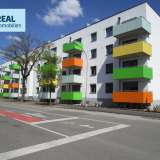  Neubau in der Dr. Karl Renner-Promenade - Vorsteuerabzug möglich St. Pölten 5299923 thumb2
