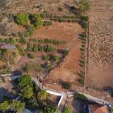  For Sale - (€ 0 / m2), Agricultural 4005 m2 Hydra 7899938 thumb1