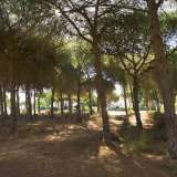   Quinta Do Lago (Central Algarve) 3899990 thumb4
