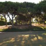   Quinta Do Lago (Central Algarve) 3899990 thumb1