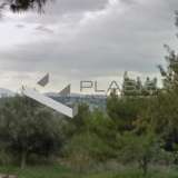  (For Sale) Land Plot || East Attica/Pallini - 690 Sq.m, 250.000€ Athens 7999997 thumb0